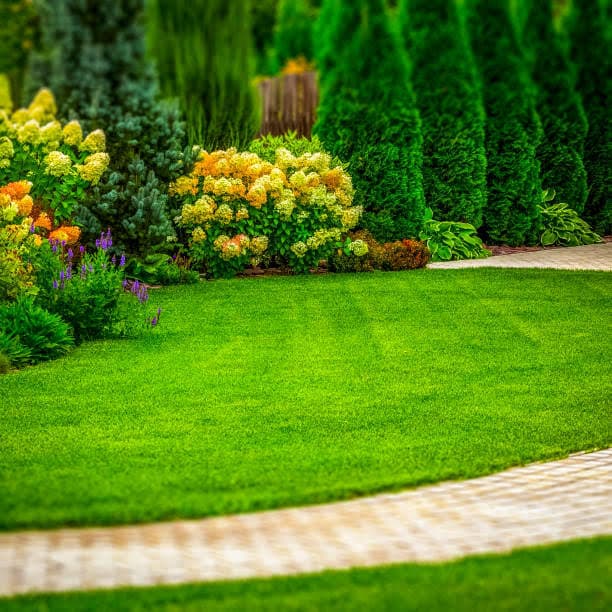 Lawn & Garden Maintenance