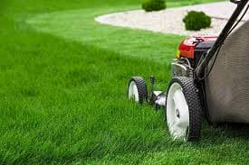 Lawn Care
