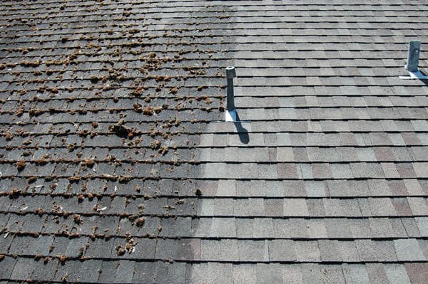 Roof Wash and De-mossing